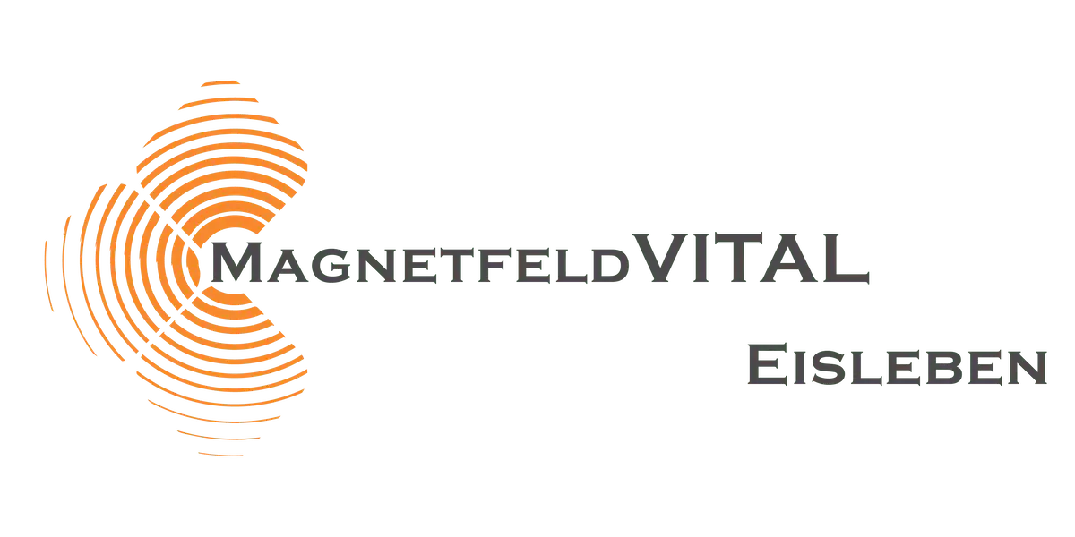 2025 MagnetfeldVITAL Logo-01 2-s.png